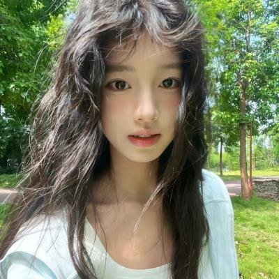 不进花瓶的洋甘菊